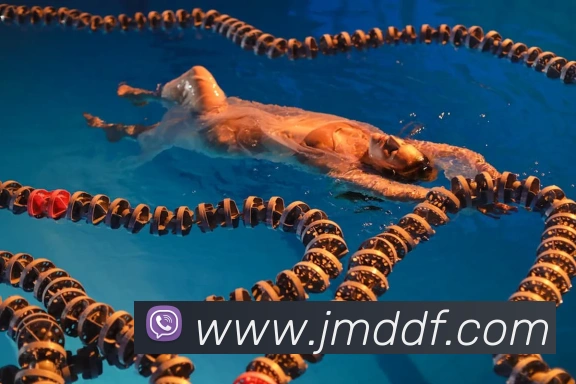 巅峰国际APP 封面图